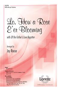 Lo, How a Rose E'Er Blooming
