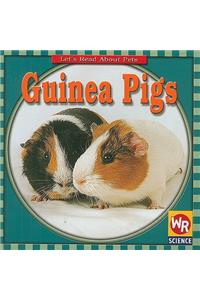 Guinea Pigs