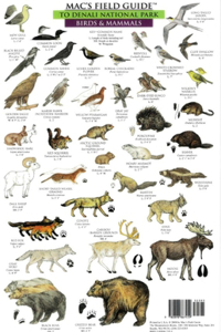 Mac's Field Guides: Denali National Park