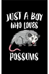 Just A Boy Who Loves Possums
