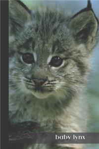 Baby Lynx