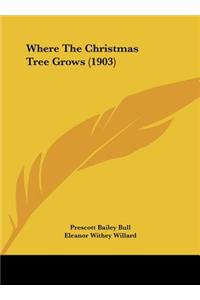 Where the Christmas Tree Grows (1903)