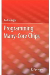 Programming Many-Core Chips