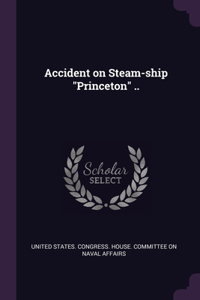 Accident on Steam-ship Princeton ..