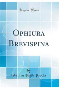 Ophiura Brevispina (Classic Reprint)