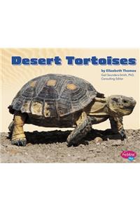 Desert Tortoises