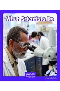 What Scientists Do