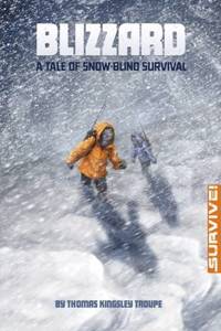 Blizzard: A Tale of Snow-blind Survival