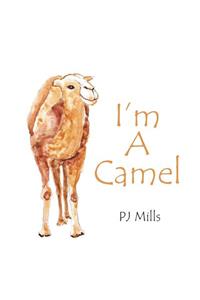 I'm a Camel