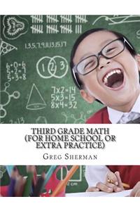 Third Grade Math (For Home School or Extra Practice)