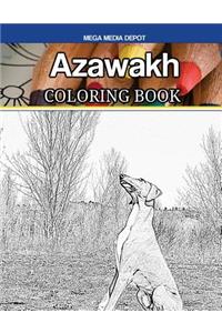 Azawakh Coloring Book
