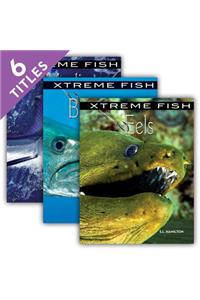 Xtreme Fish (Set)