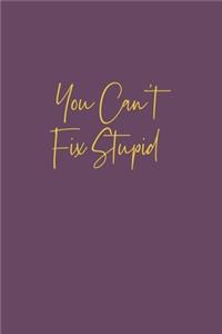 You Can't Fix Stupid