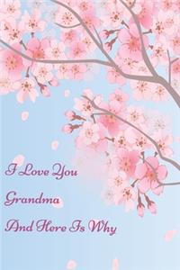 I Love You Grandma
