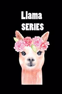 Notebook Llama Series