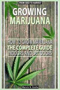 Growing Marijuana
