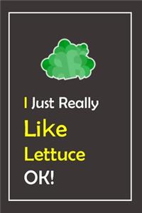 I Just Really Like Lettuce, OK !