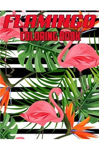 Flamingo Coloring Book