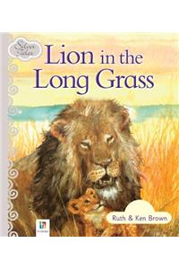 Lion in the Long Grass
