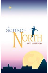 Sense of North, A