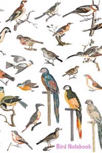 Bird Notebook