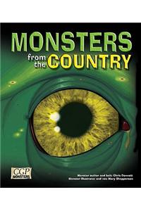 KS2 Monsters from the Country Reading Book