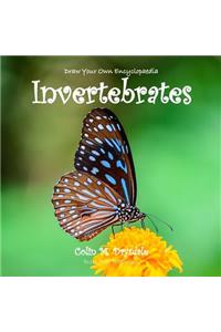 Draw Your Own Encyclopaedia Invertebrates