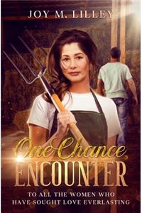 One Chance Encounter