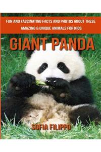 Giant Panda