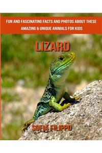 Lizard