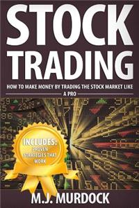 Stock Trading: How to Make Money by Trading the Stock Market Like a Pro