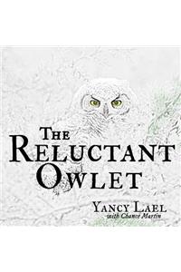 Reluctant Owlet