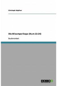 Die Bileamperikope (Num 22-24)