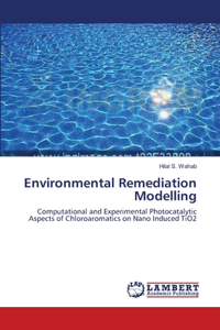 Environmental Remediation Modelling