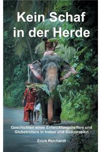 Kein Schaf in der Herde