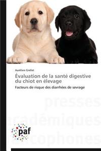 Évaluation de la Santé Digestive Du Chiot En Élevage