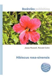 Hibiscus Rosa-Sinensis