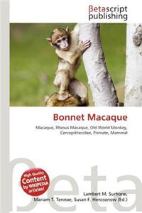 Bonnet Macaque