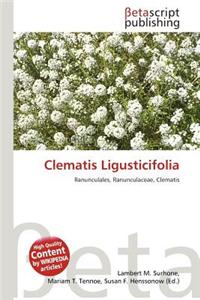 Clematis Ligusticifolia