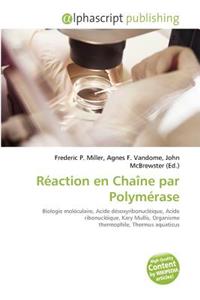 R Action En Cha Ne Par Polym Rase