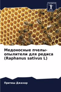 Медоносные пчелы-опылители для редиса (Raphanus sativus L)
