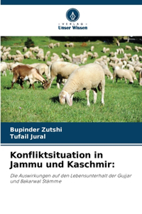 Konfliktsituation in Jammu und Kaschmir