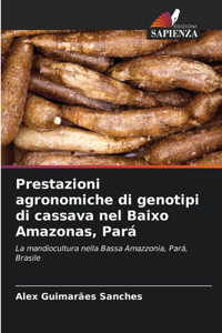 Prestazioni agronomiche di genotipi di cassava nel Baixo Amazonas, Pará