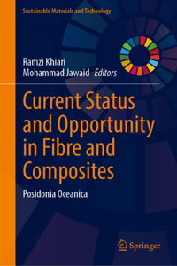 Current Status and Opportunity in Fibre and Composites