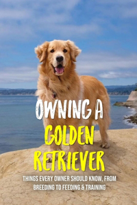 Owning A Golden Retriever