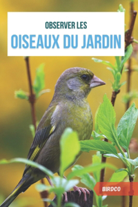 Observer les oiseaux du jardin