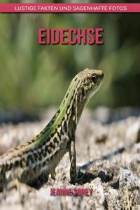 Eidechse
