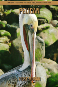 Pelican