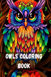 Owls Coloring Book
