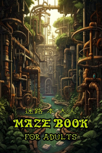MAZE BOOK for adults 迷路 本 大人